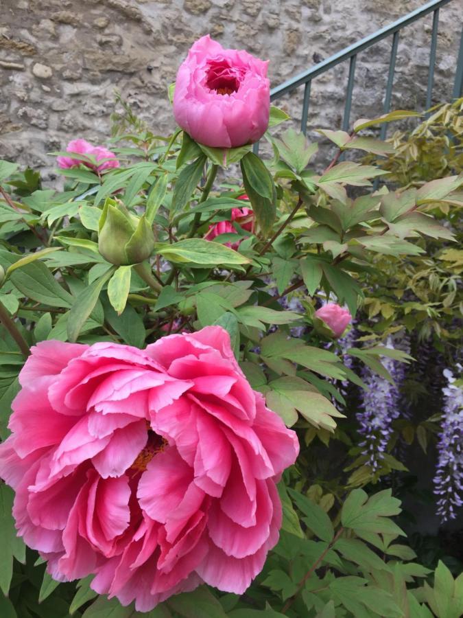 Les Gites Du Clos Saint-Martin Maule Luaran gambar